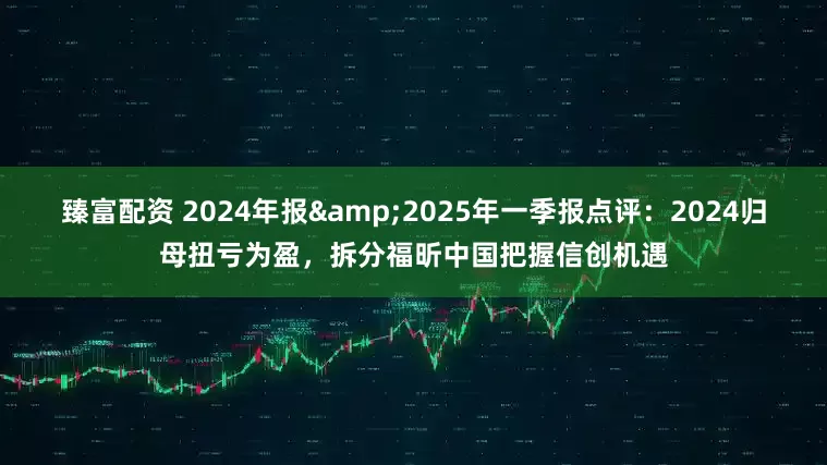 臻富配资 2024年报&2025年一季报点评：2024归母扭亏为盈，拆分福昕中国把握信创机遇