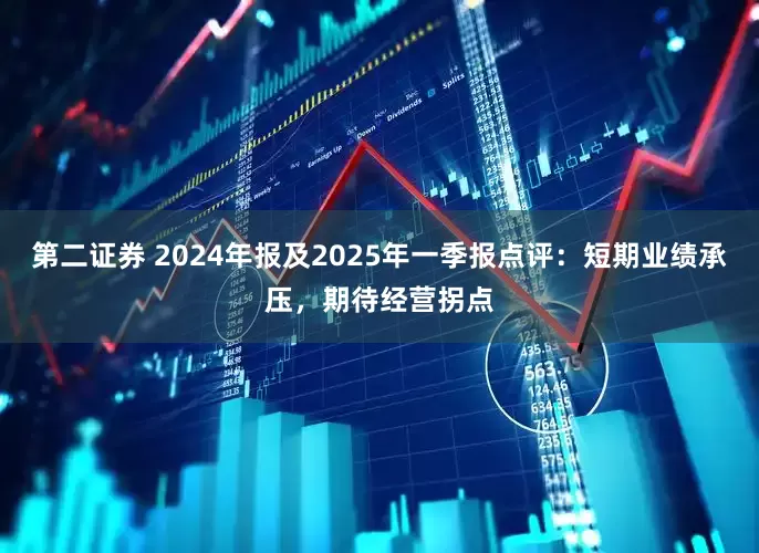 第二证券 2024年报及2025年一季报点评：短期业绩承压，期待经营拐点