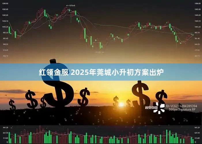 红领金服 2025年莞城小升初方案出炉
