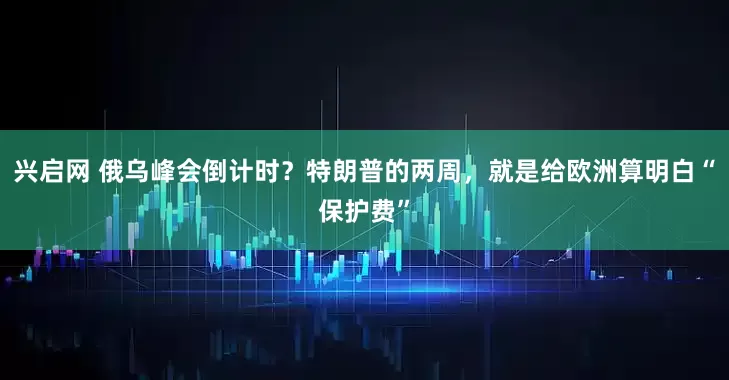 兴启网 俄乌峰会倒计时？特朗普的两周，就是给欧洲算明白“保护费”